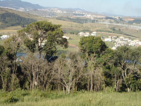 Terreno