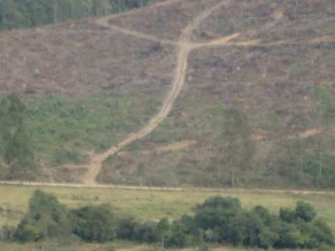 Area para loteamento