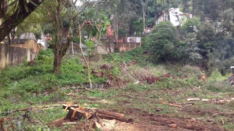 Terreno