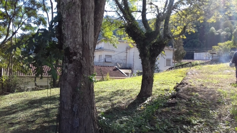 Terreno