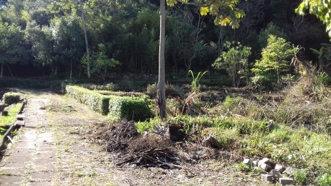 Terreno