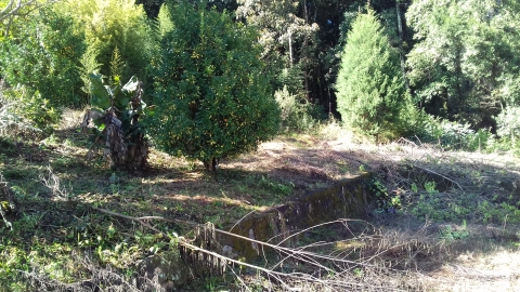 Terreno