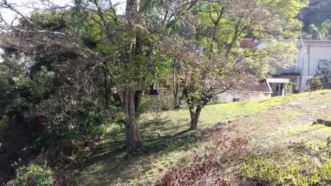 Terreno