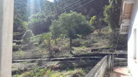Terreno