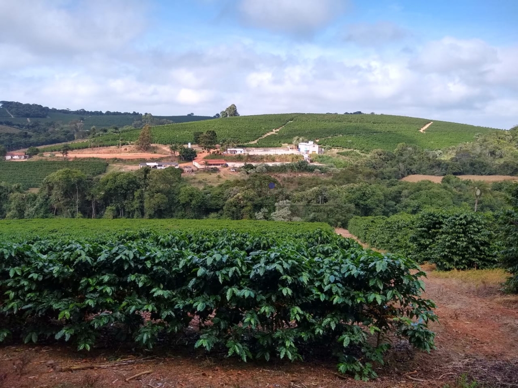 Fazenda