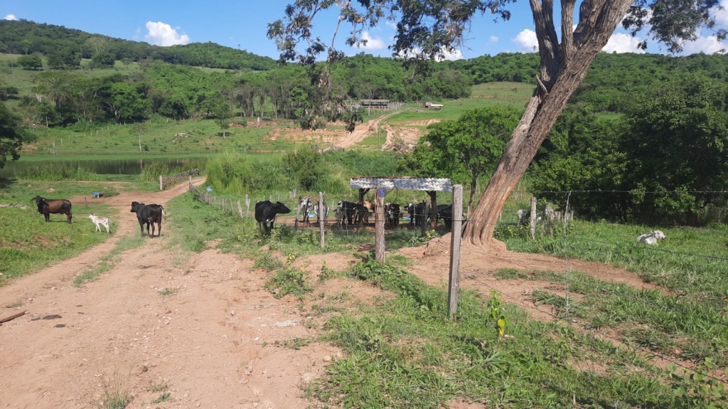 Fazenda