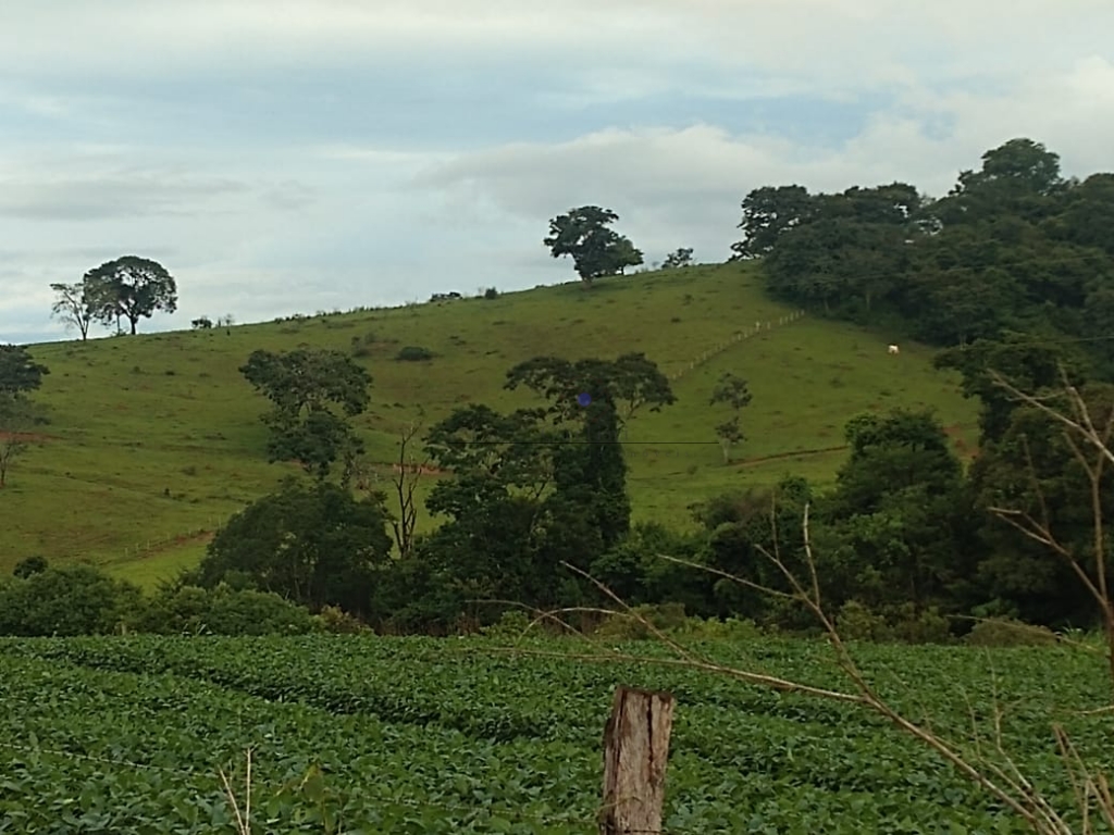 Fazenda