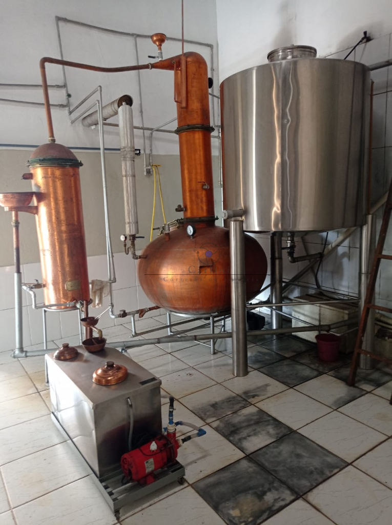 Alambique